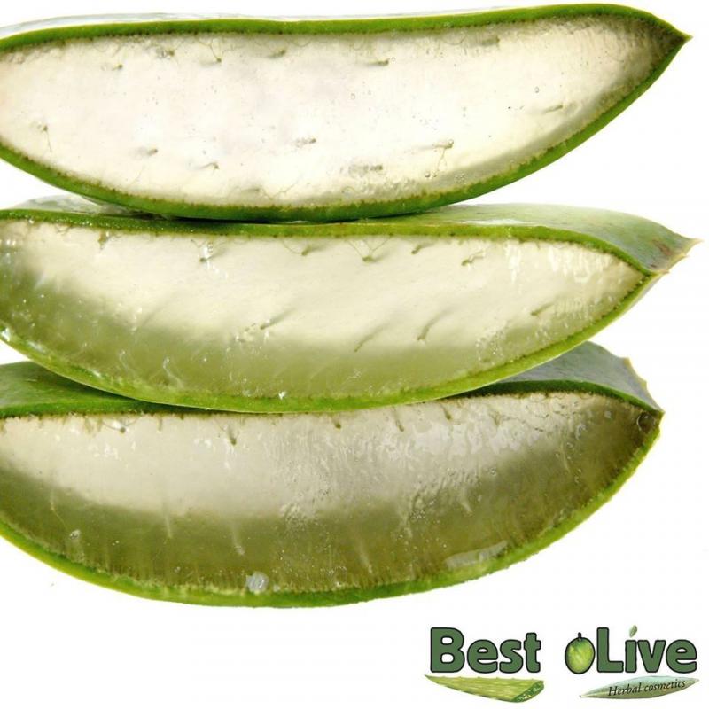 Best oLive