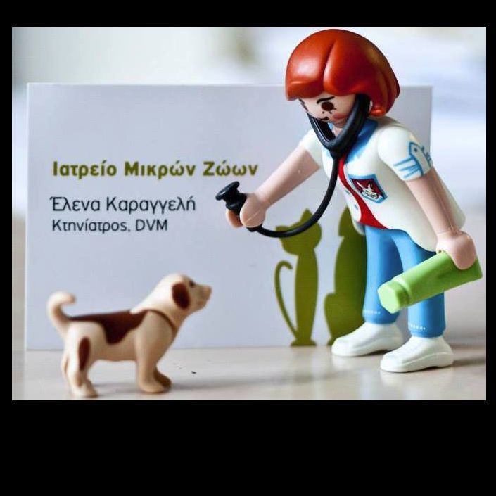 ΚΑΡΑΓΓΕΛΗ ΕΛΕΝΑ - Ιατρείο Μικρών Ζώων