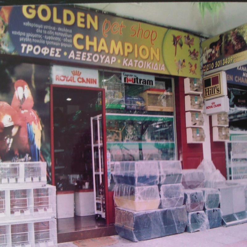 GOLDEN CHAMPION - Pet Shop