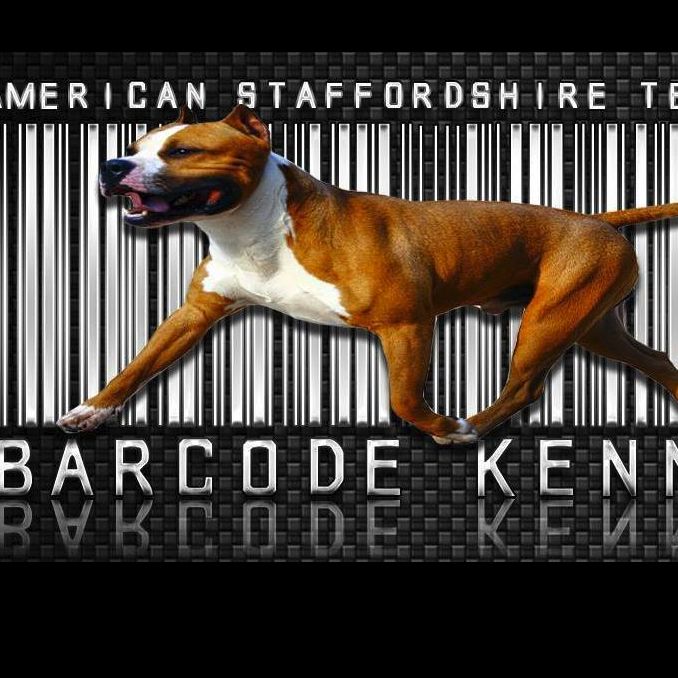 BARCODE KENNEL - Εκτροφείο Σκύλων