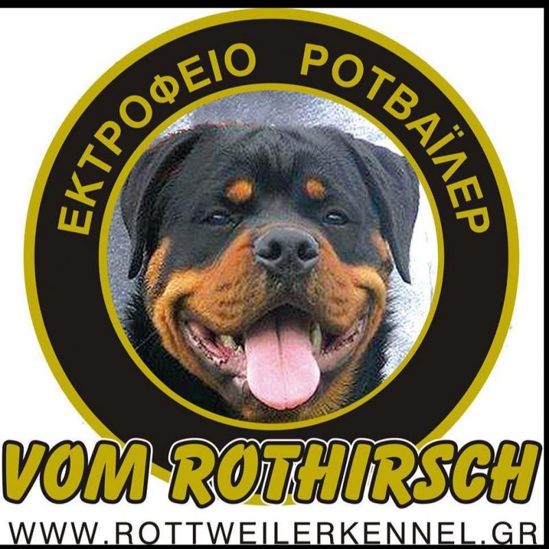 ΡΟΤΒΑΪΛΕΡ VOM ROTHIRSCH -Εκτροφείο Rottweiler