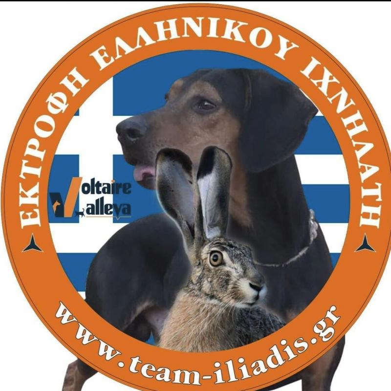 TEAM ILIADIS - Εκτροφείο Σκύλων