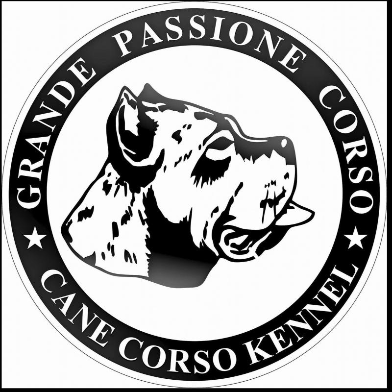 CANE CORSO KENNEL - Grande Passione Corso