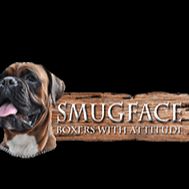 SMUG FACE BOXER