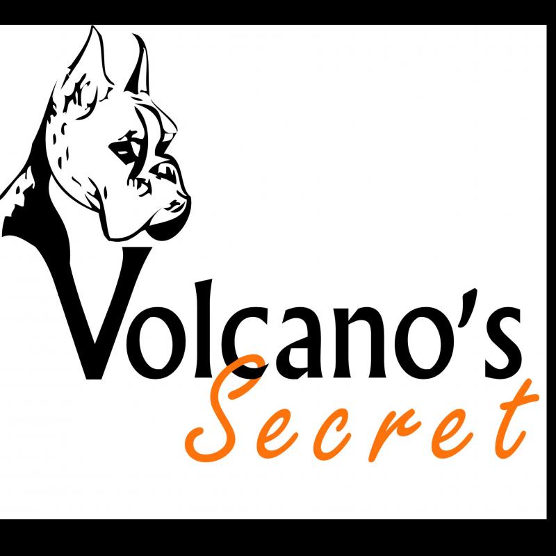 VOLCANO'S SECRET