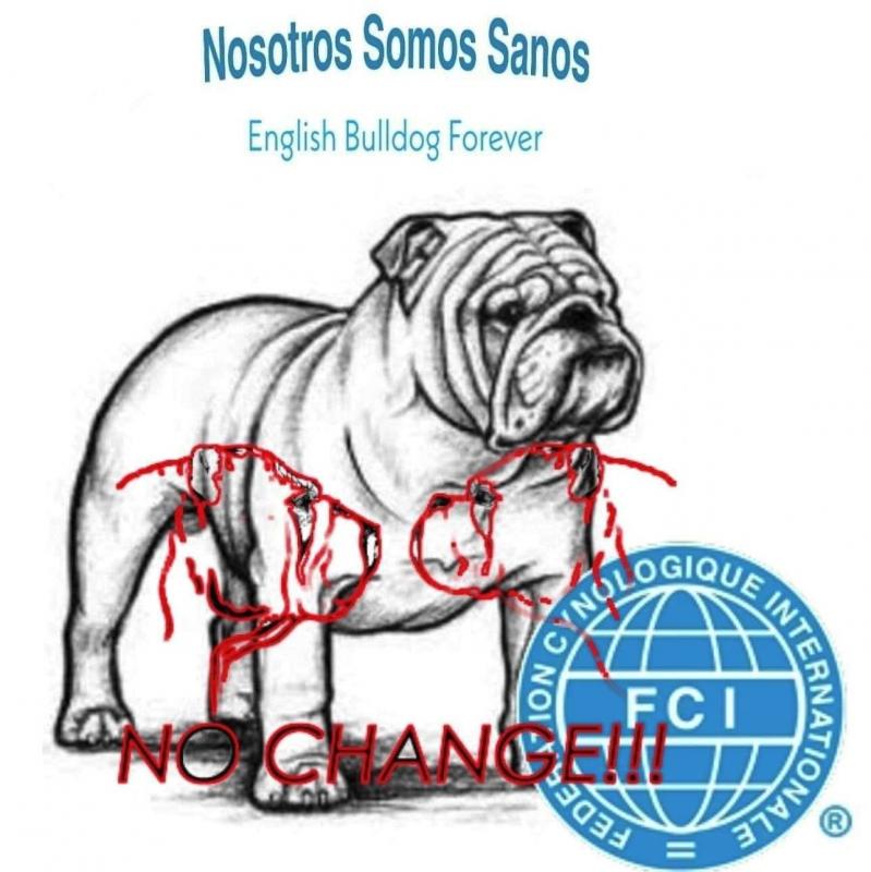 SOUL GUARDIAN BULLDOGS