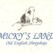 MICKY'S LAND OLD ENGLISH SHEEPDOGS