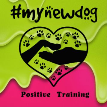 MYNEWDOG POSITIVE TRAINING