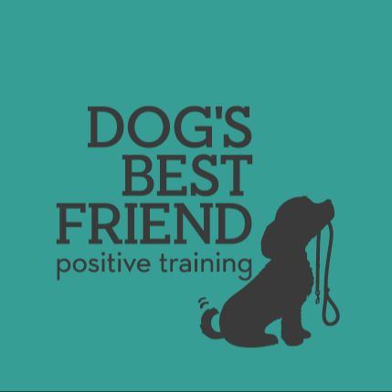 DOG'S BEST FRIEND - PROFESSIONAL TRAINIGN