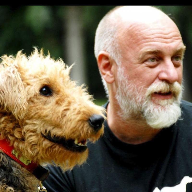 ALL ABOUT DOGS