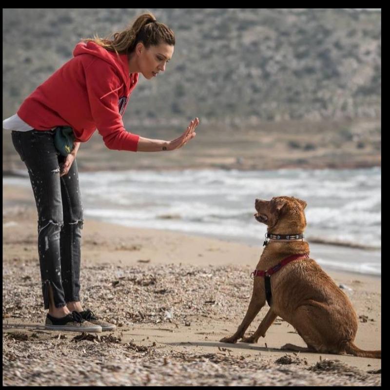 MARILENA DOG TRAINER