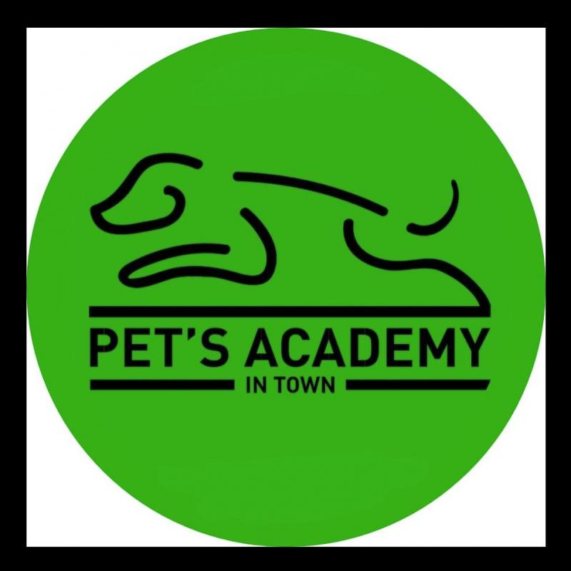 PETS ACADEMY