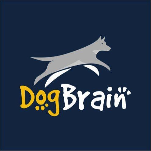 DOG BRAIN TRAINING