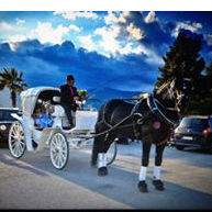 Άμαξες Μαγγίνας-wedding carriages athens
